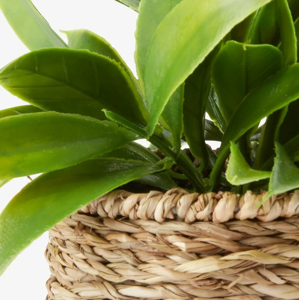 BERTRAMPlante artificielle BERTRAM Ø8xH18cm assorti