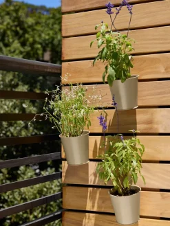 BILLEJardinière de balcon BILLE Ø12xH19 assorti