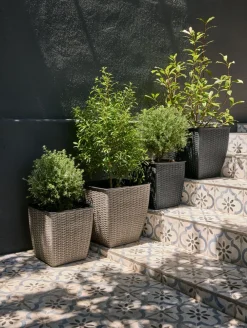 ISLOMPanier pour plantes ISLOM 38x38x39 noir