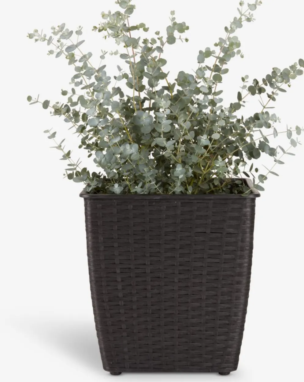 ISLOMPanier pour plantes ISLOM 31x31x32 assorti