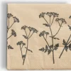 PHILIPServiettes en papier PHILIP 24x24cm 20pcs/pqt